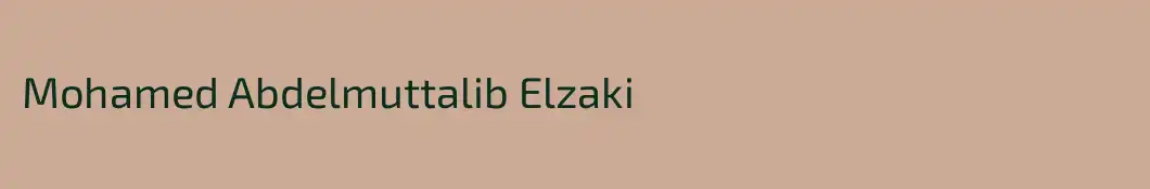 Mohamed Abdelmuttalib Elzaki